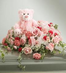  Teddy برداشت, ریچھ with gift pack