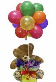  Teddy برداشت, ریچھ with gift pack