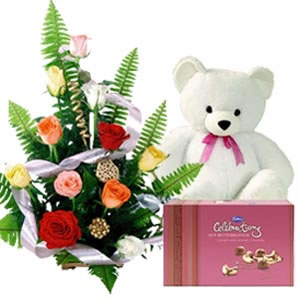  Teddy chịu, gấu with gift pack