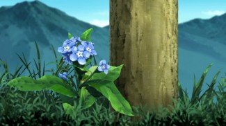  The blume We Saw That Tag