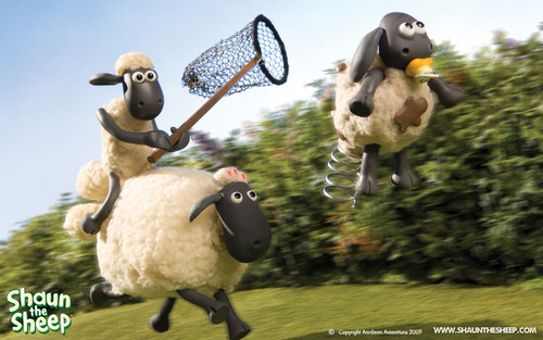  shaun the schapen