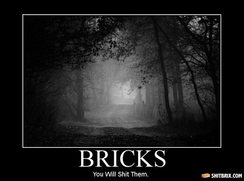  bricks