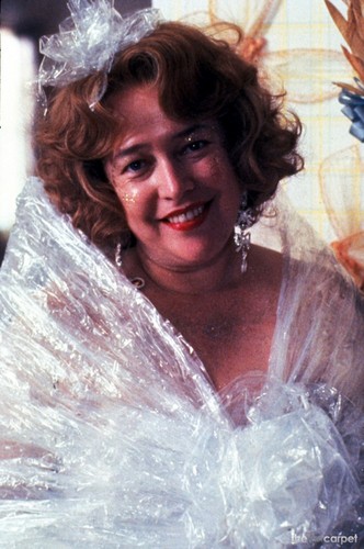  Fried Green Tomatoes (1991)