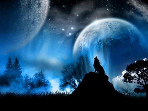  Howling wolf Hintergrund
