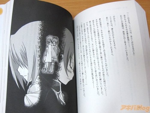Kyoko Sayaka art novel page