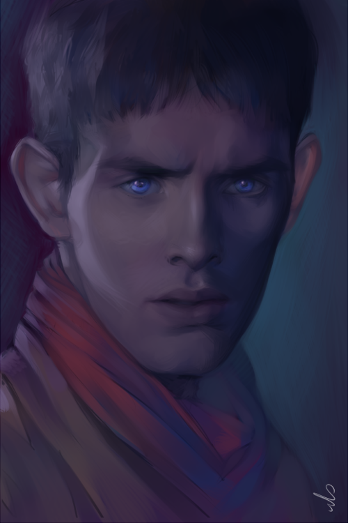 Merlin Portrait