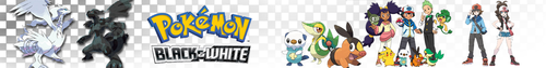  Pokemon BW banner