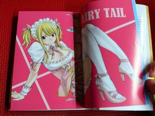  Scenes from Fairy Tail's 1st Light Novel