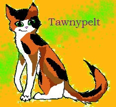  Tawnypelt
