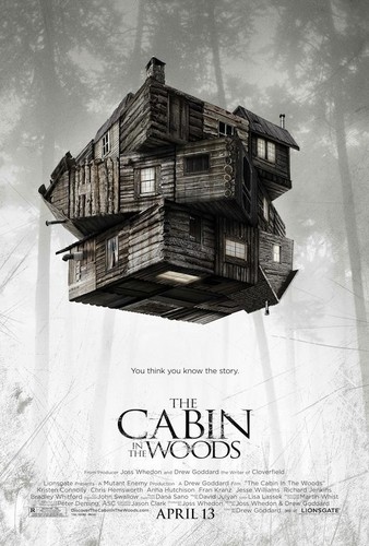  The cabin, kibanda in the Woods
