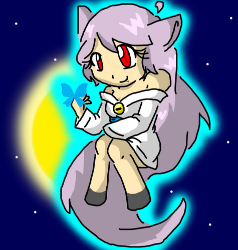  The Moon zorro, fox