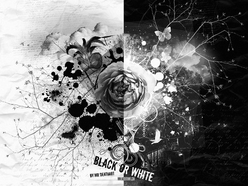  black & white