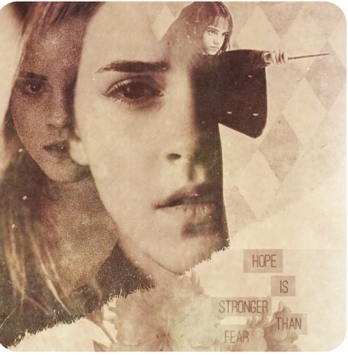  ~Hermione Jean Granger~