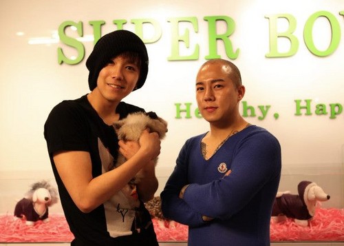  120530 Hongki Super-bow Pet boutique