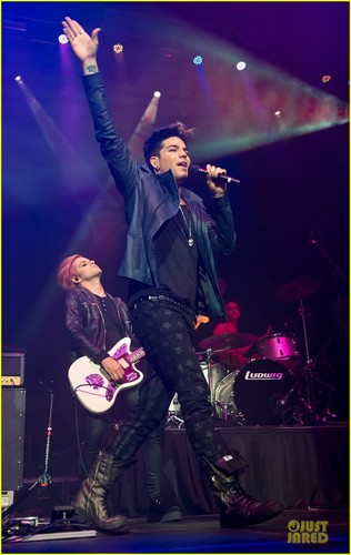  Adam Lambert to Kris Allen: Great Job on New Album!