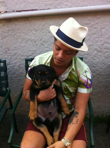 Bruno Mars and his dog Geronimo