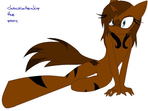  Chocolate-chip the pony. *New look for her. :3*