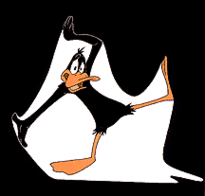  Daffy