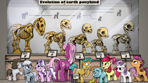  Evolution of earth ponykind