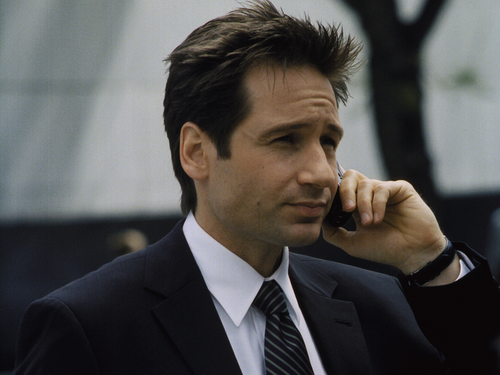  fuchs Mulder