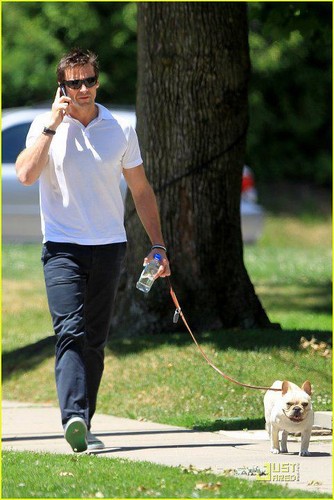  Hugh Jackman and his dog Mochi.