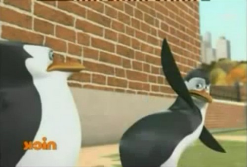  Kowalski?! What are आप doing ?