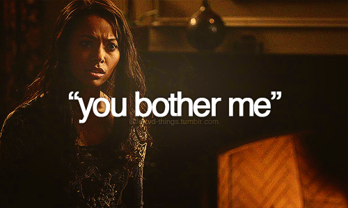  Little TVD Things We l’amour