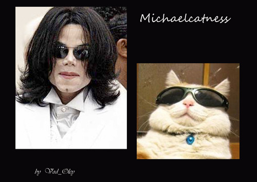  Michaelcatness
