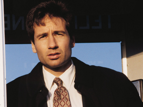  Mulder