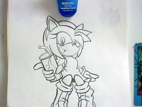  My drawing of Amy Rose