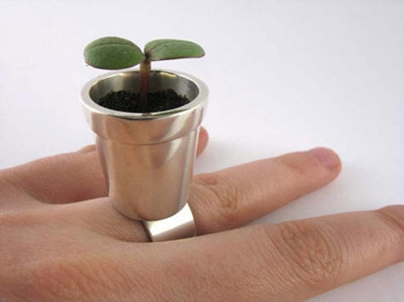  Plant Ring