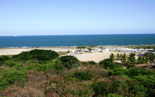  Praia do Forte