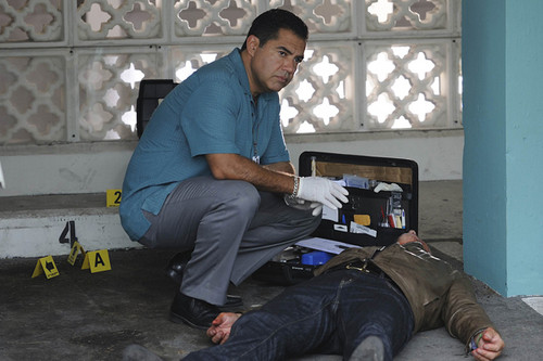  The Glades (1x08) Marriage Is Murder