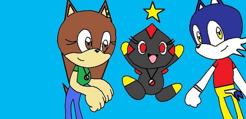 Victoria the hedgehog as me,Darkness the chao or sally and Jeff the raposa