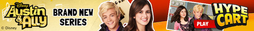  austin and ally banner