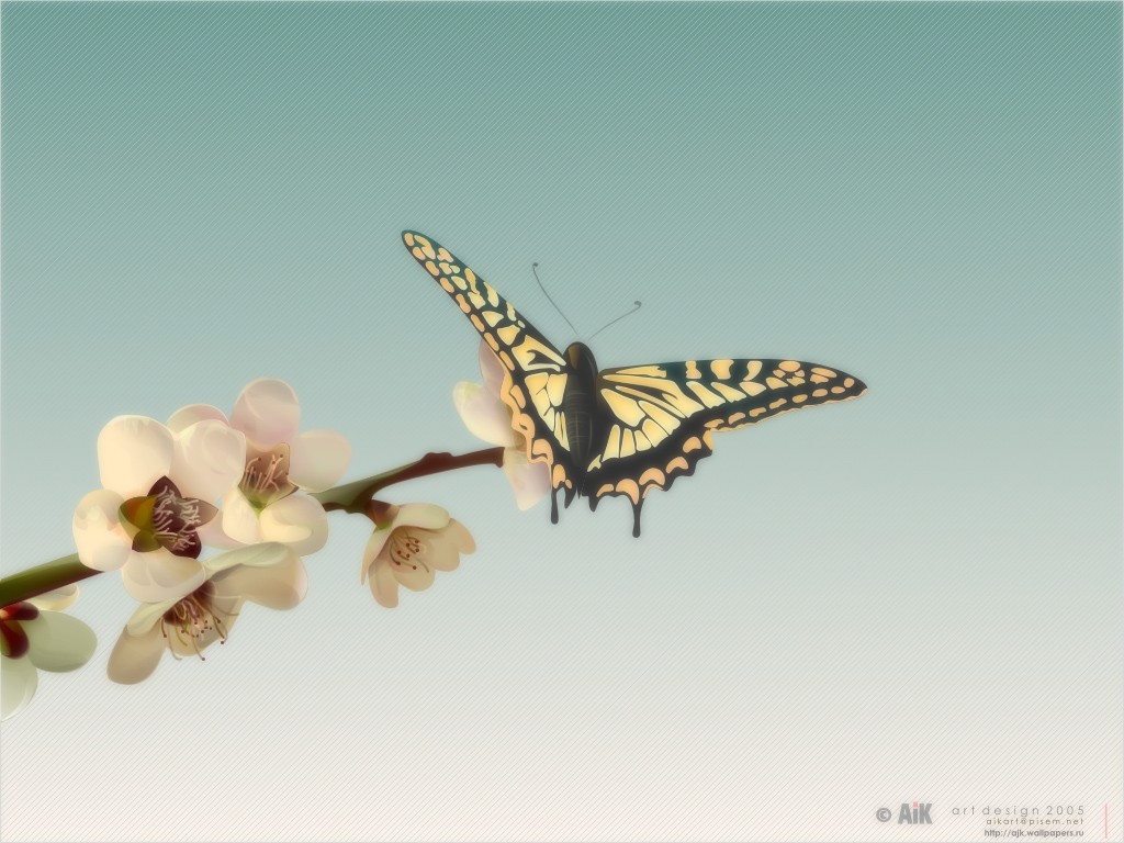 Different is beautiful. Бабочка на ветке. Жасминовые бабочки. Три бабочки на ветке.