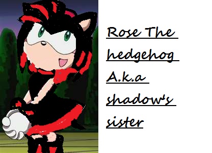  rose the hedgehog