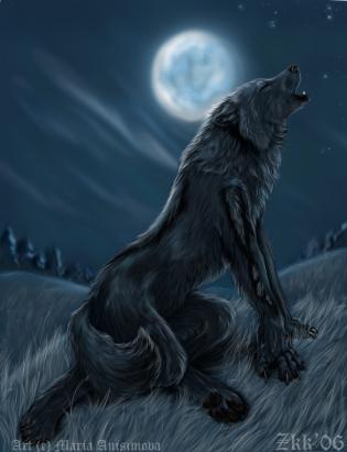  "Howling in at a Full Moon"