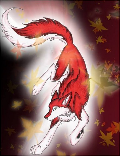  "Red Shewolf"