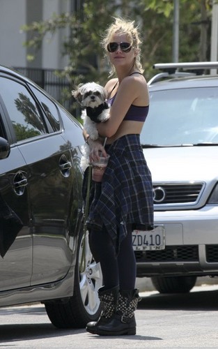  Ashley out and about with her anjing, anak anjing in Beverly Hills