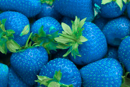  Blu strawberries