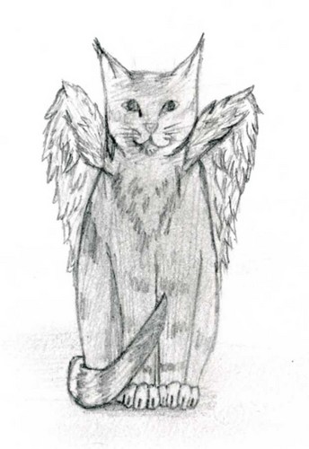  Cat With Wings