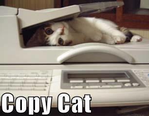  Copy Cat