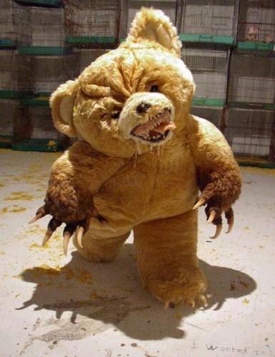  Evil beruang