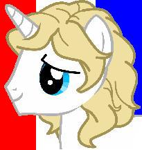  France пони