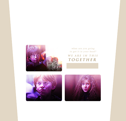  Harry, Ron & Hermione