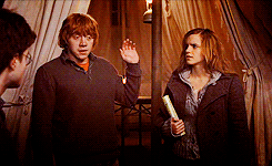 Harry, Ron and Hermione