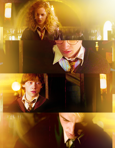  Hermione, Harry, Ron and Draco