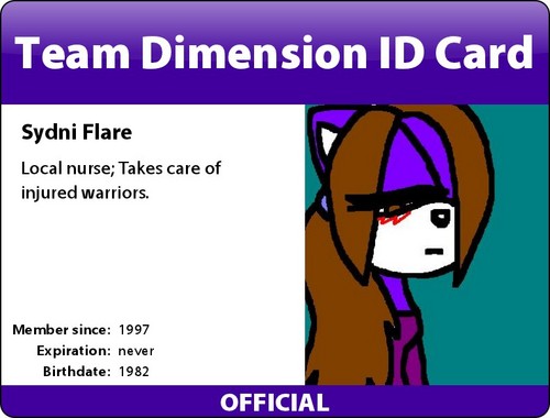  ID card; Team Dimension