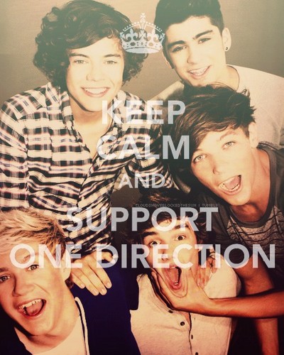  Keep calm and support 1D